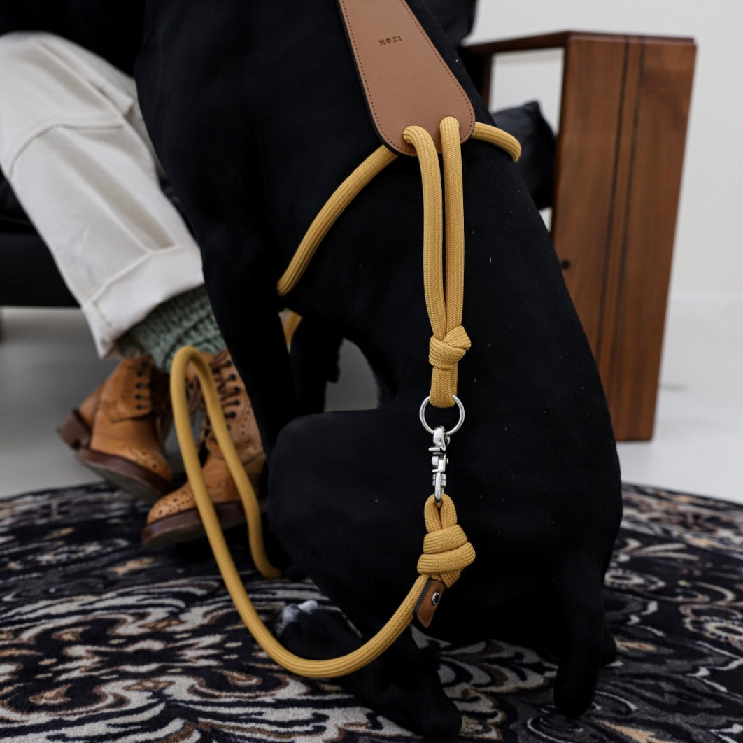 Essential Harness_MUSTARD