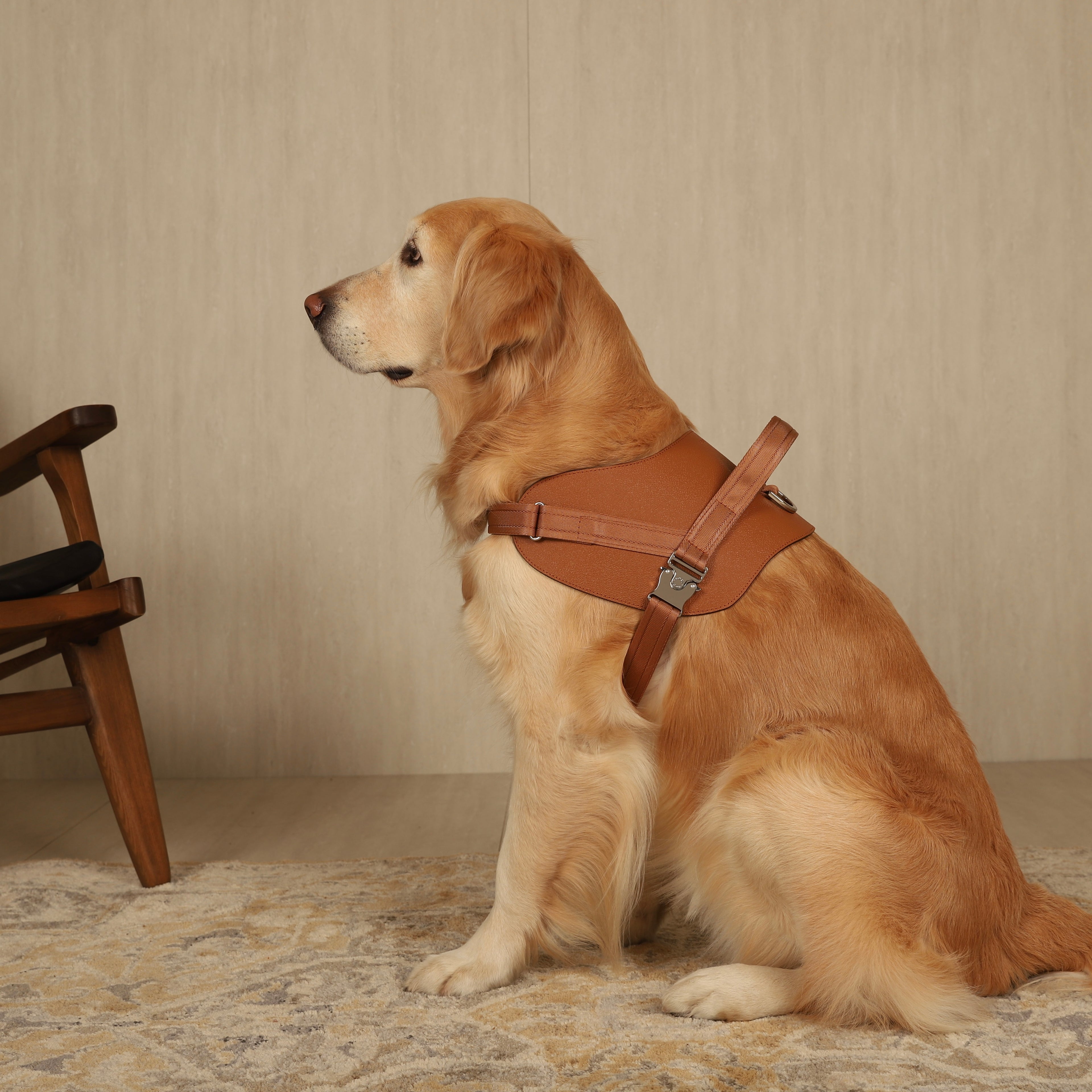Saddle Harness_CAMEL