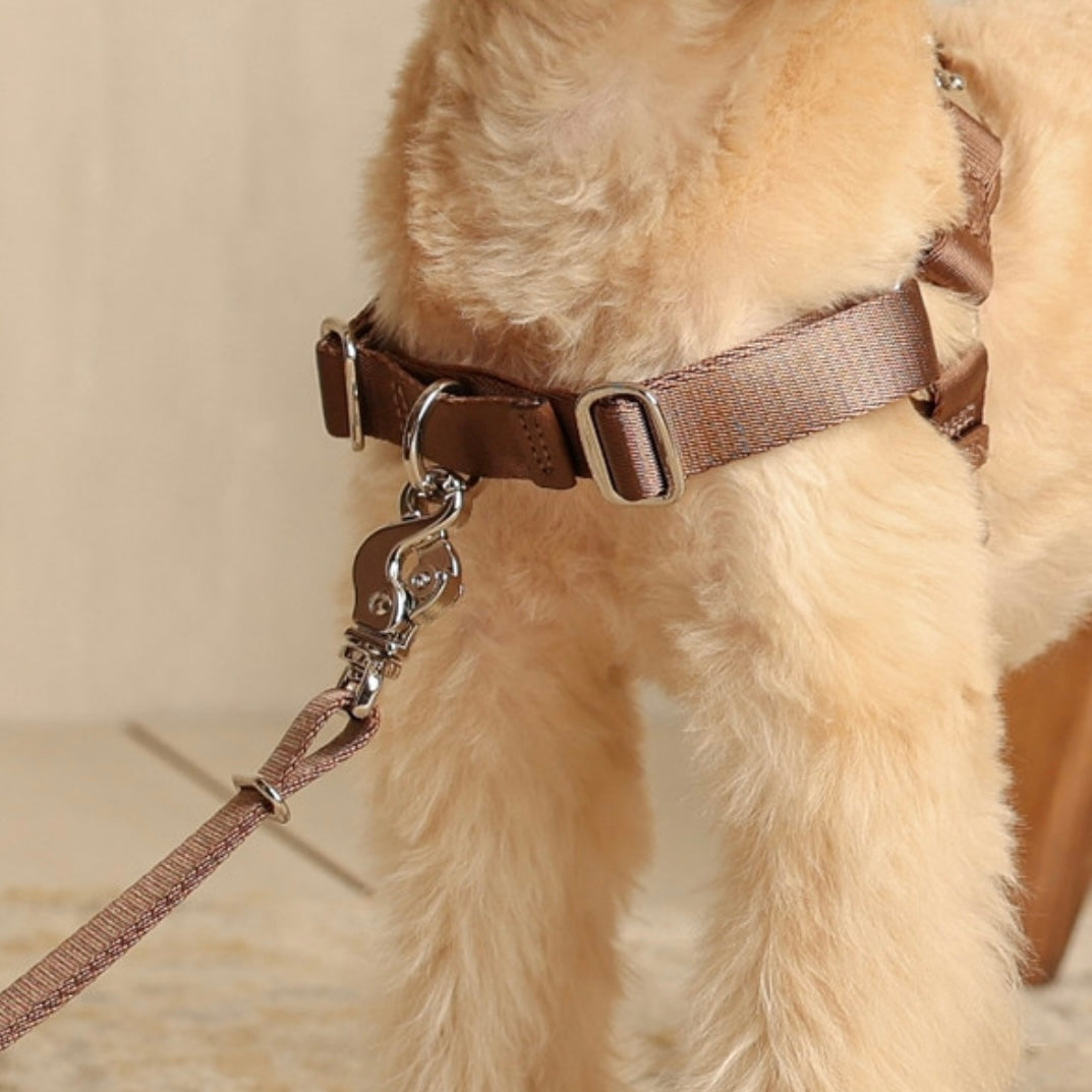 Horsebit Harness_MOCHA