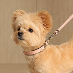 Saddle Strap_PINK