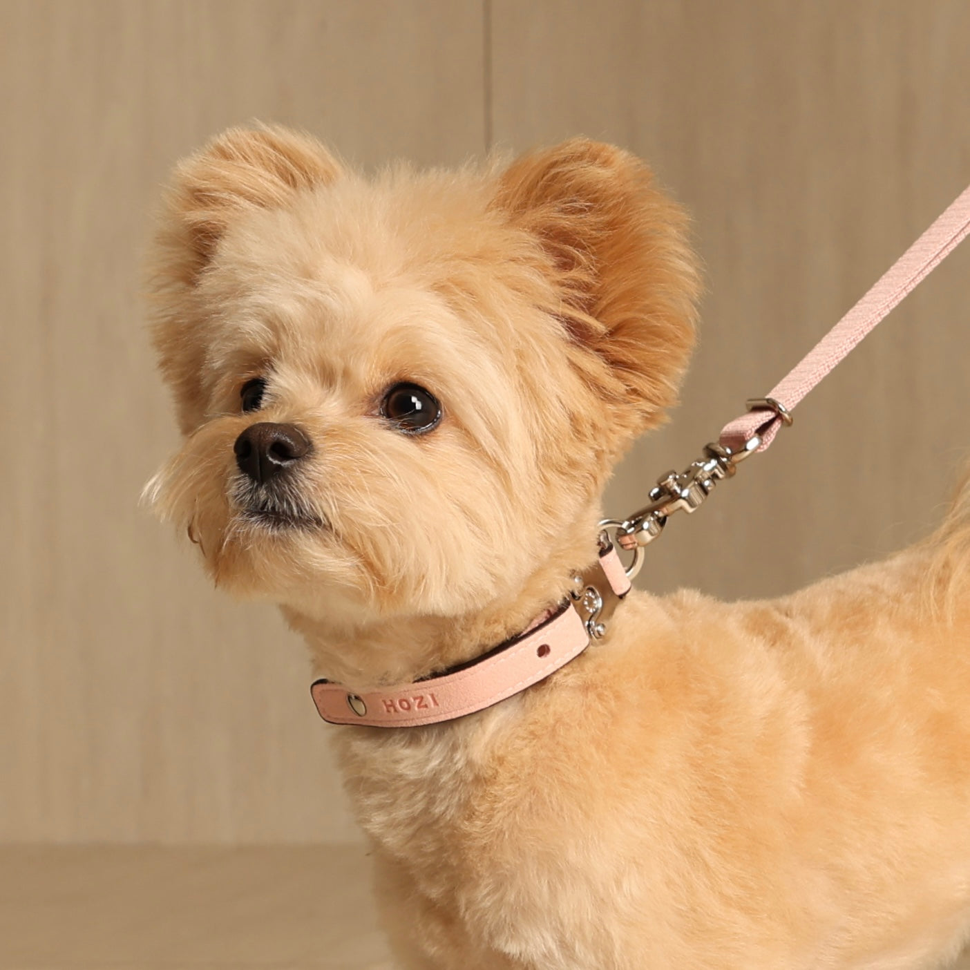 Saddle Strap_PINK