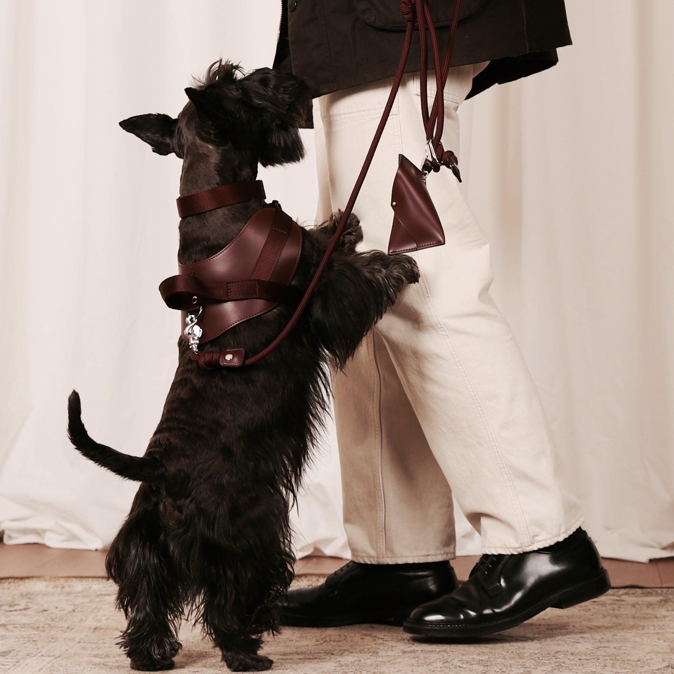 Saddle Harness_BURGUNDY