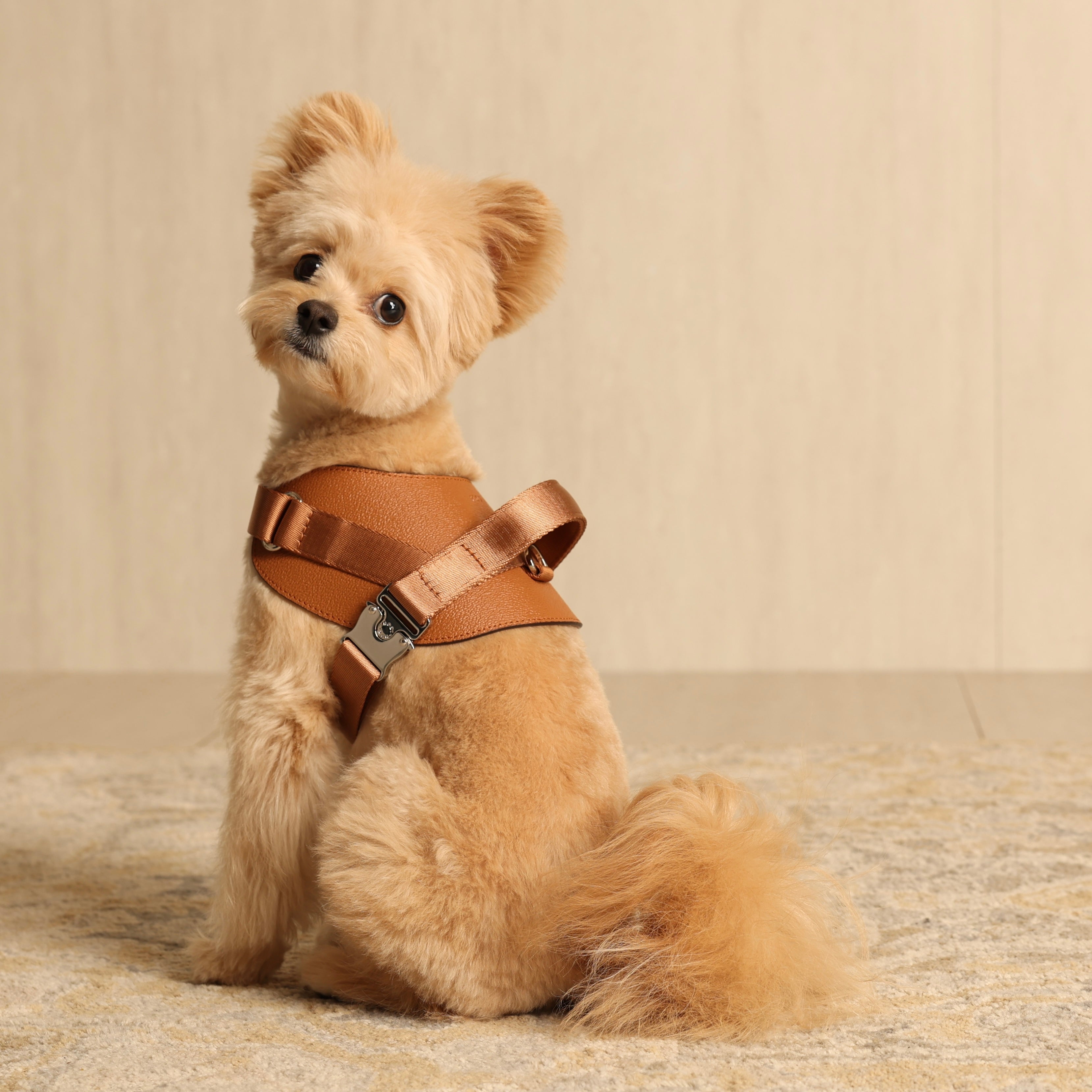 Saddle Harness_CAMEL