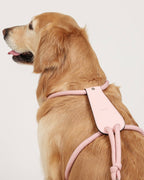 Essential Harness PINK