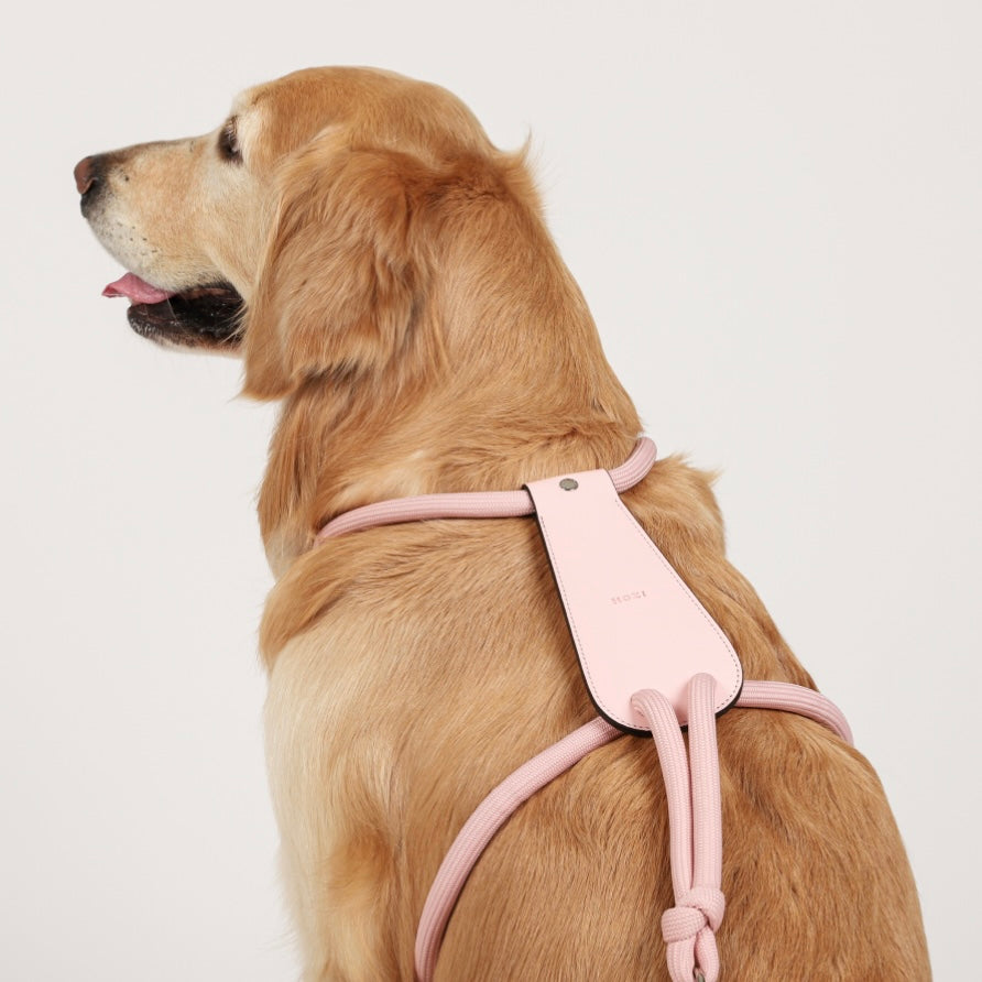 Essential Harness_PINK