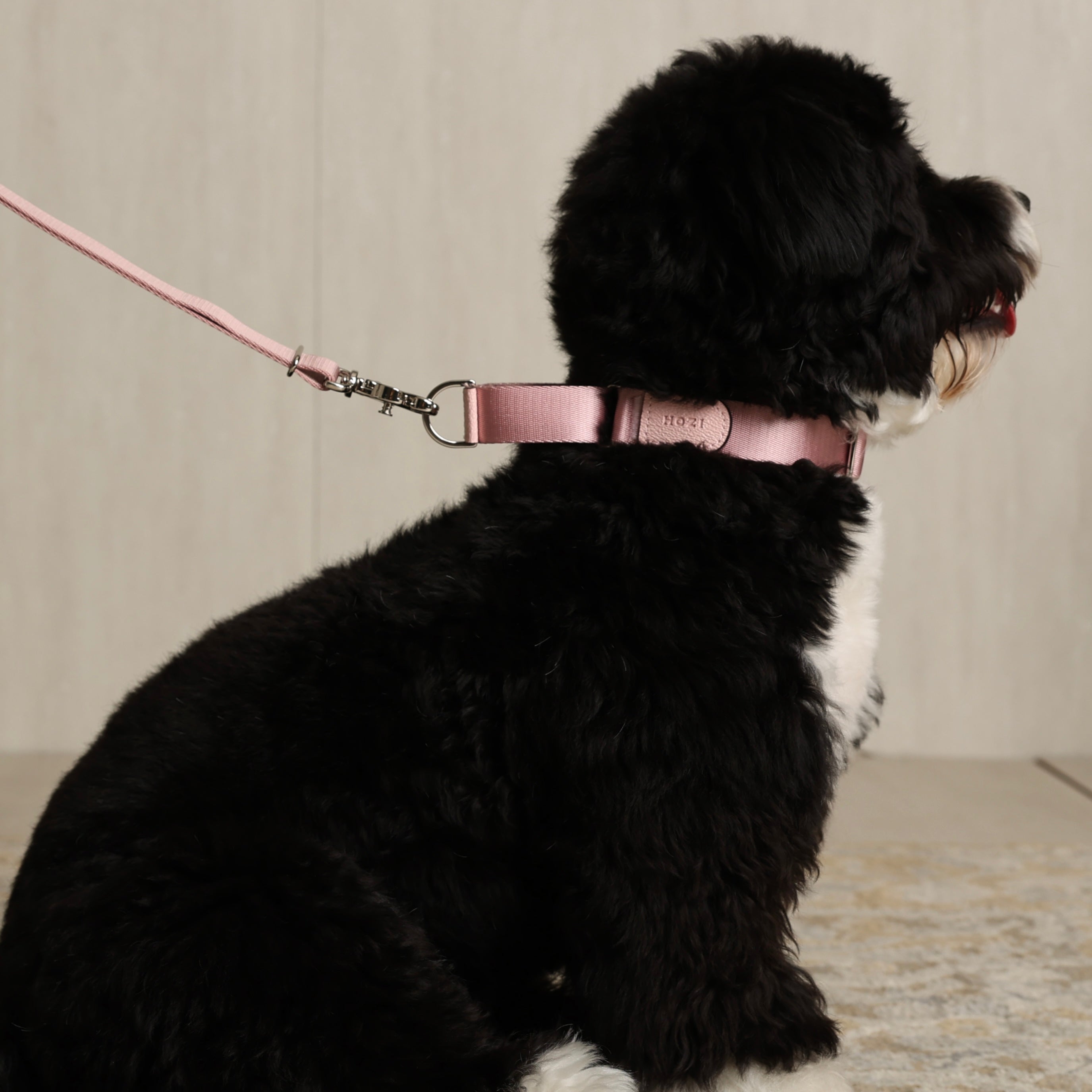 Martingale_PINK
