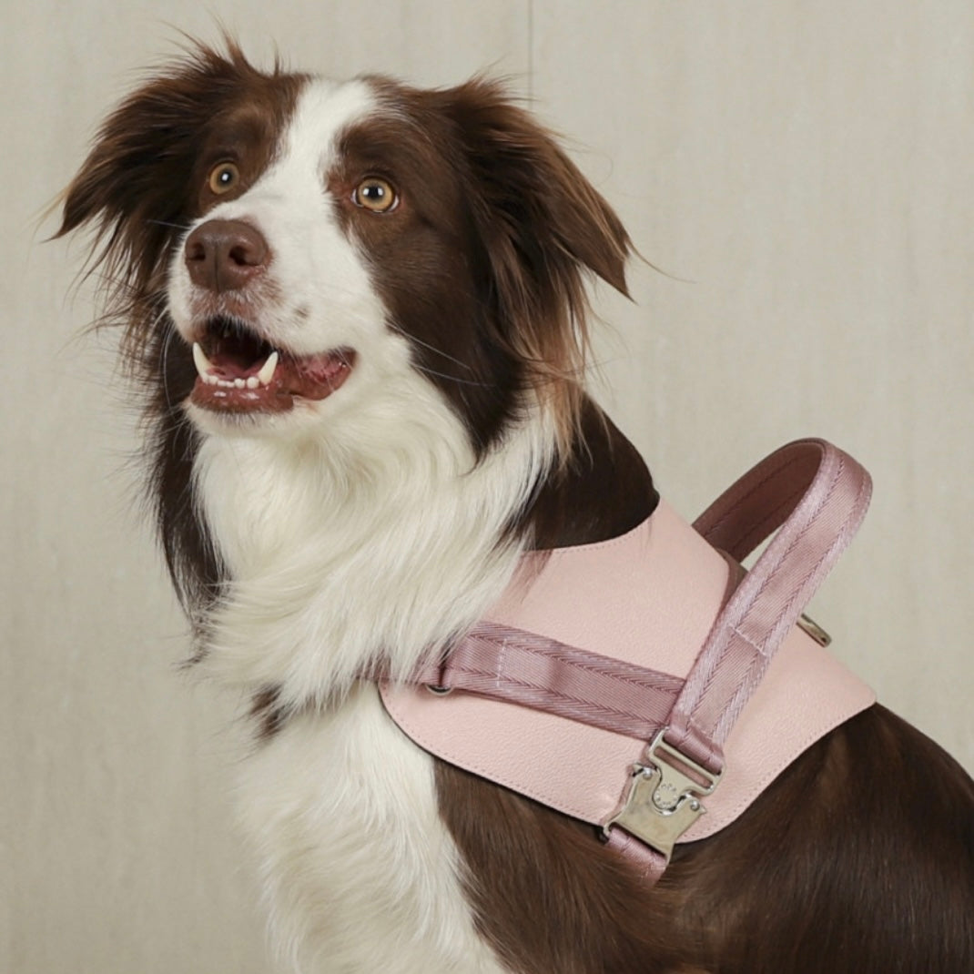 Saddle Harness_PINK