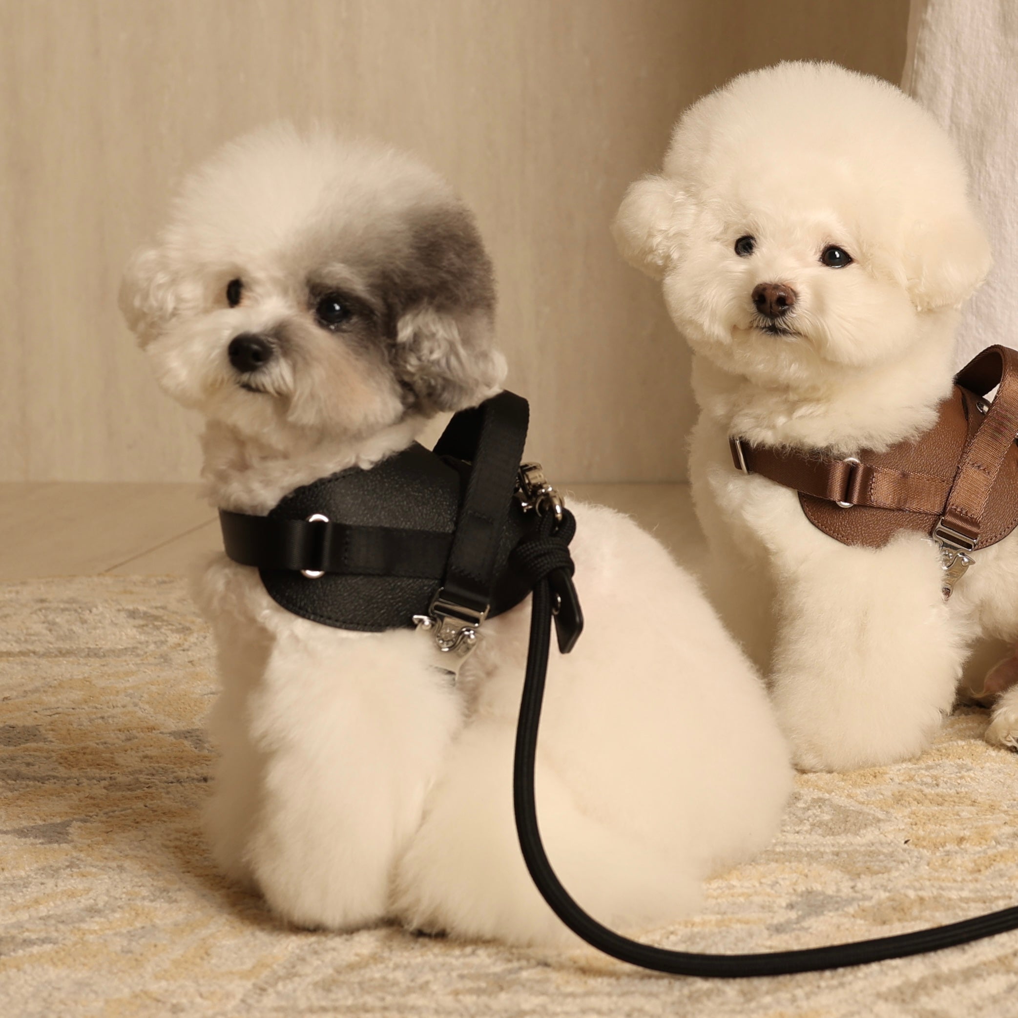 Saddle Harness_BLACK
