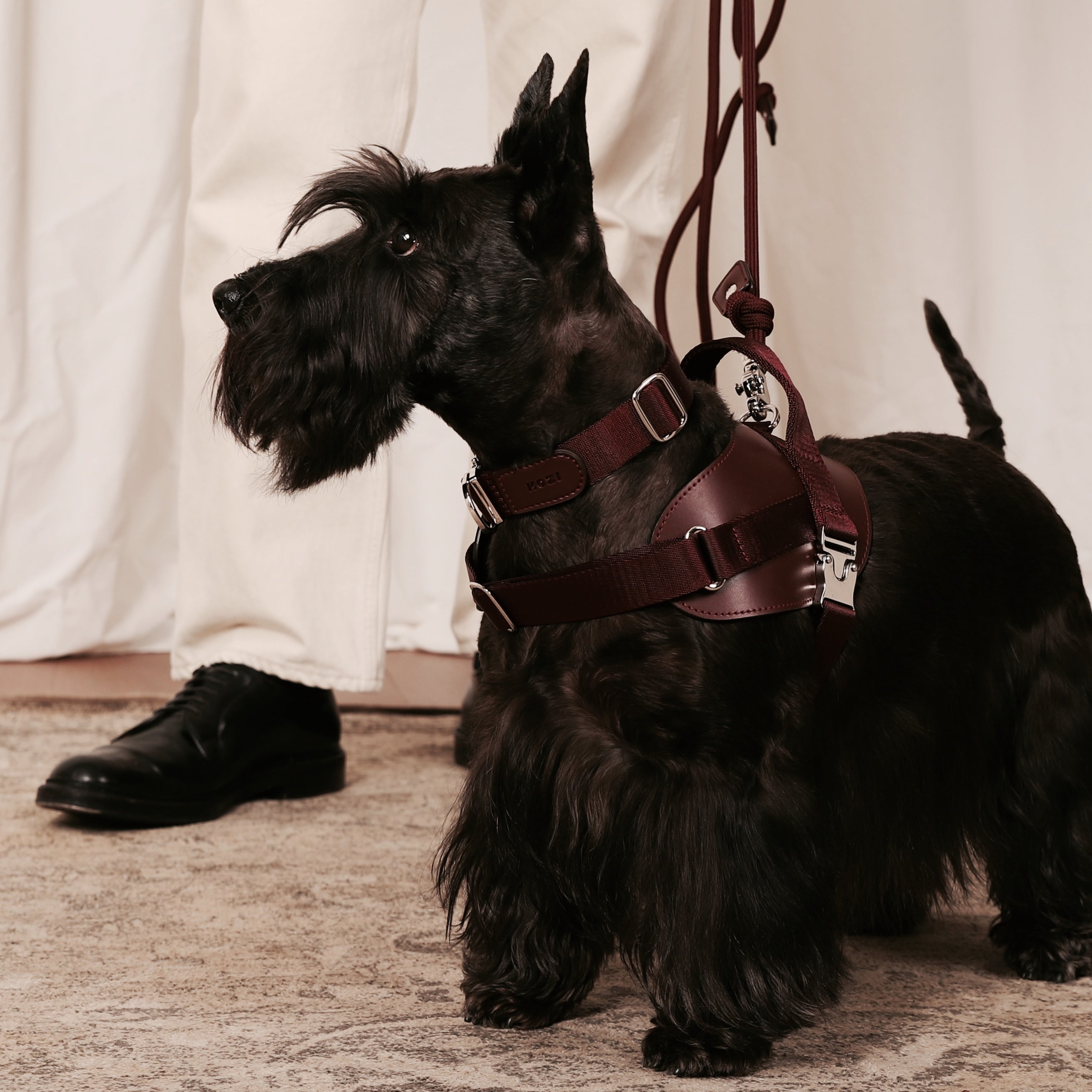 Saddle Harness_BURGUNDY