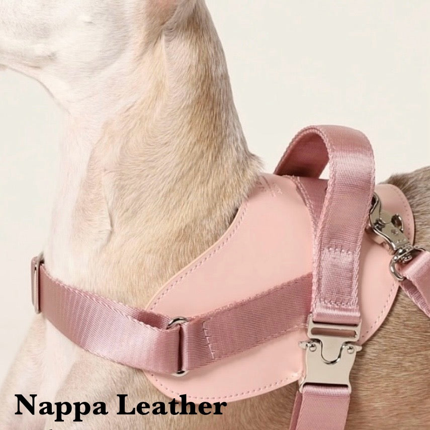Saddle Harness_PINK