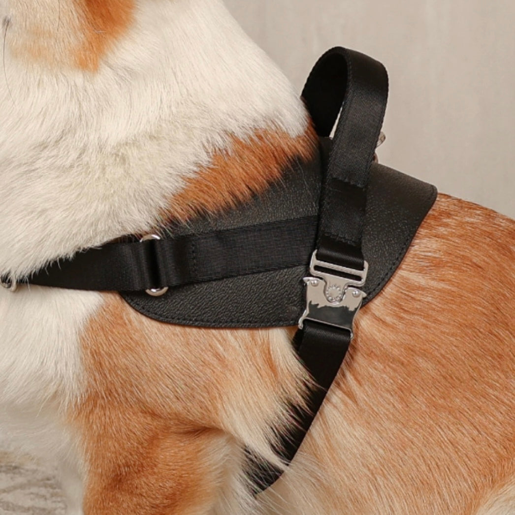 Saddle Harness_BLACK
