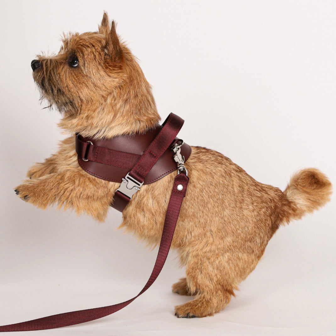 Saddle Harness_BURGUNDY