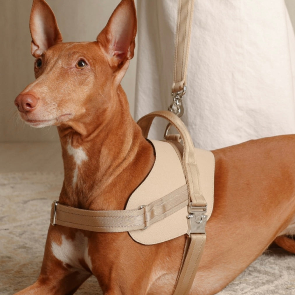 Saddle Harness_BEIGE
