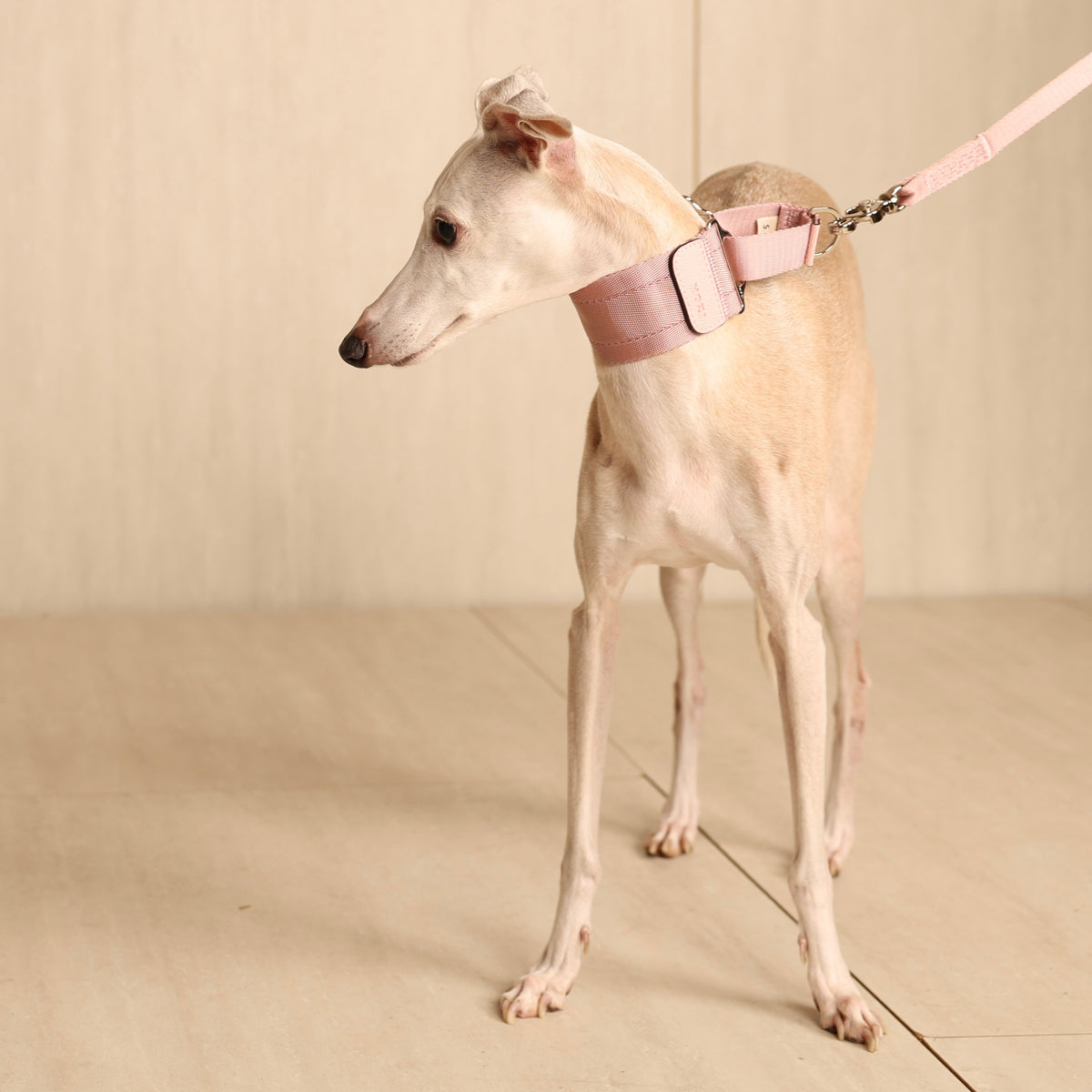 Wide Martingale_PINK