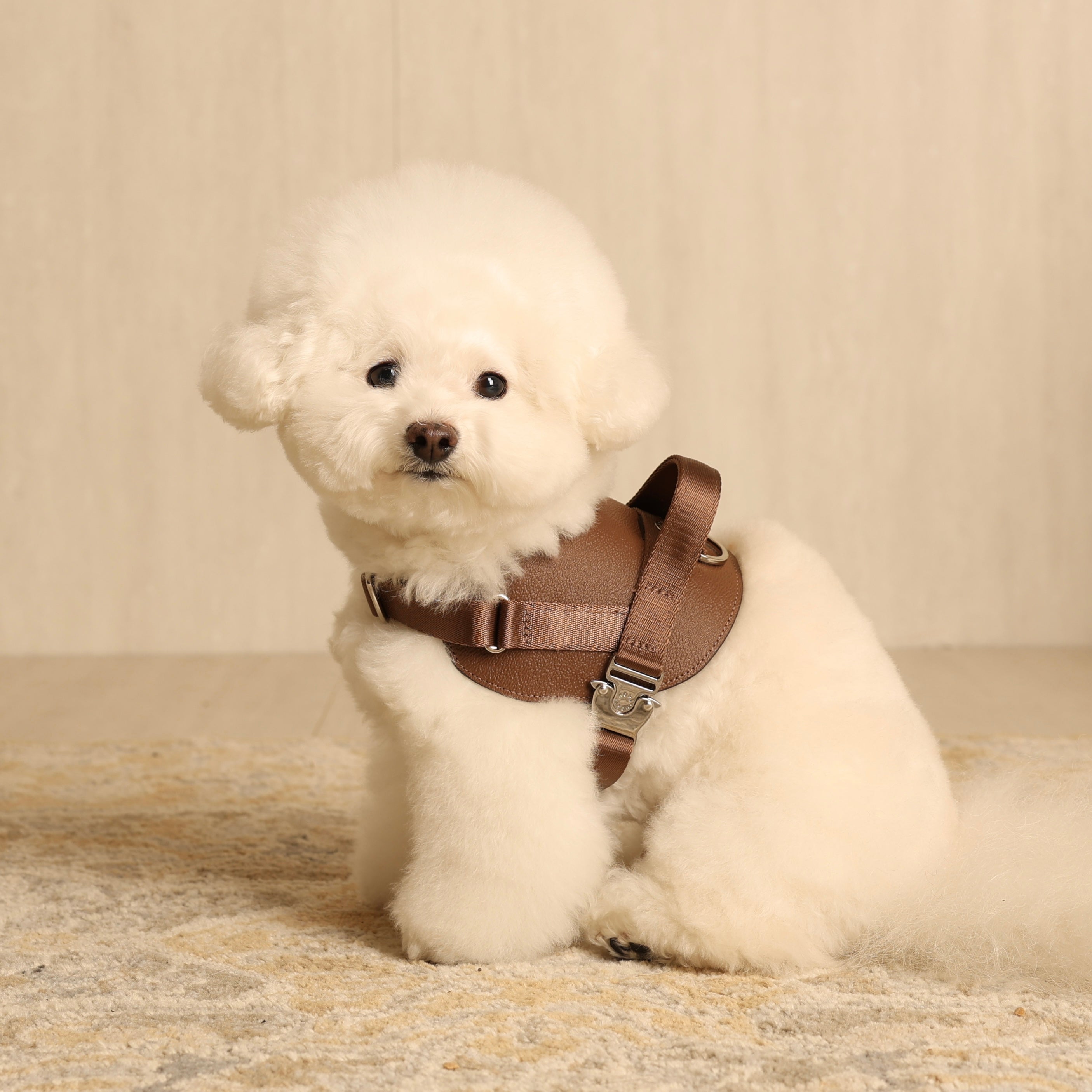 Saddle Harness_MOCHA