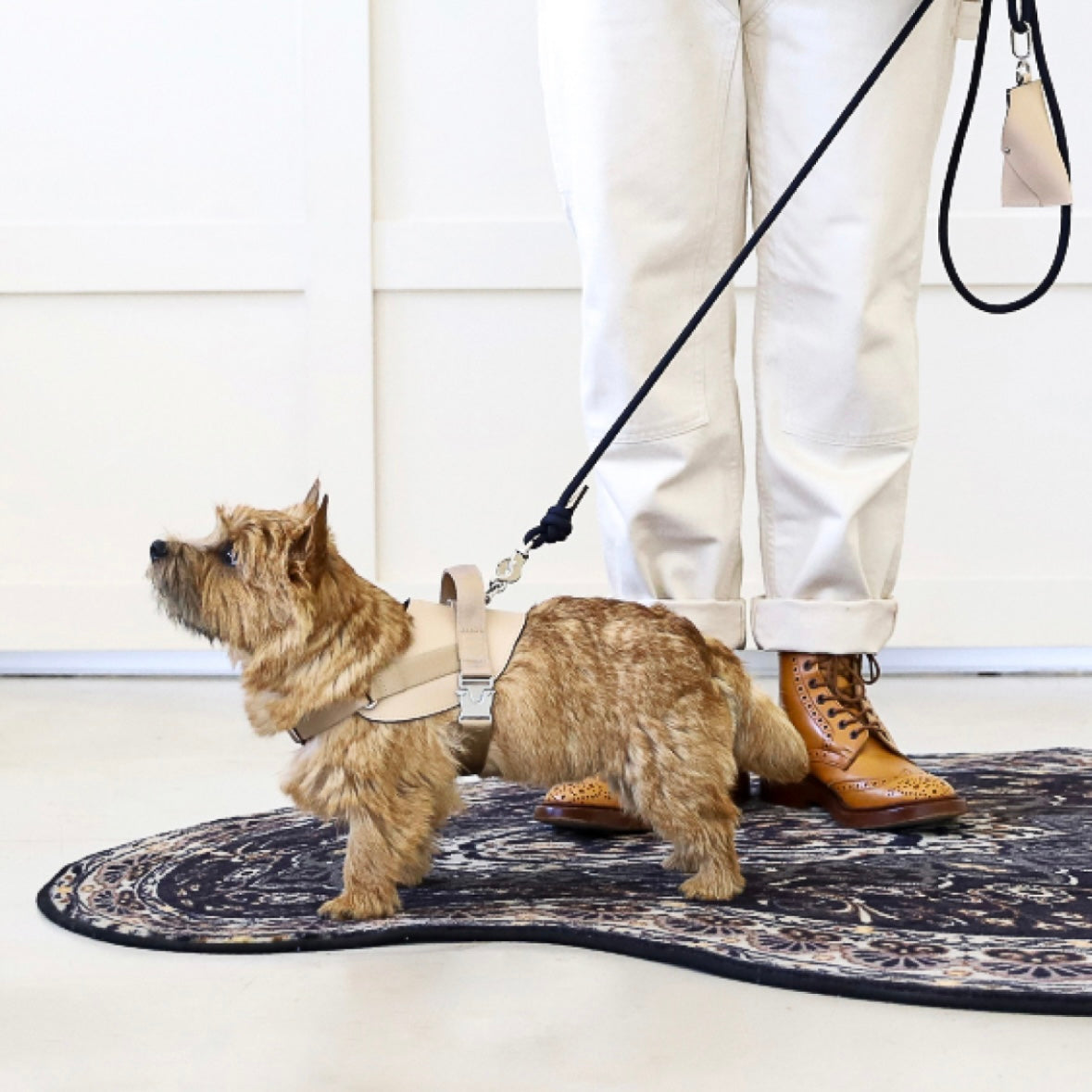 Saddle Harness_BEIGE