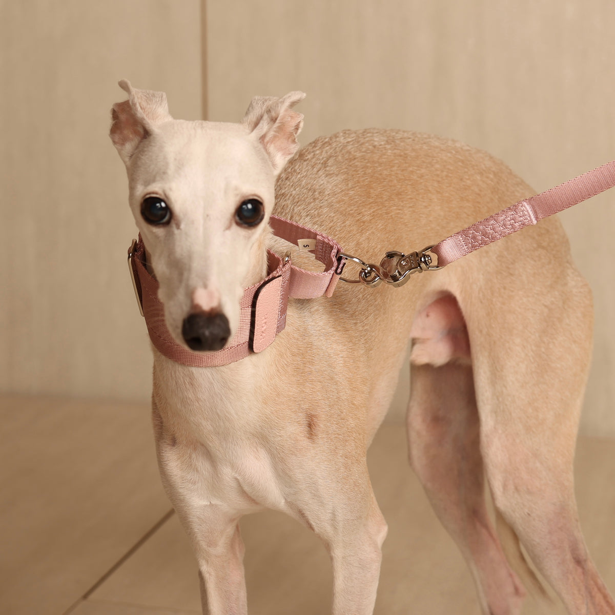 Wide Martingale_PINK