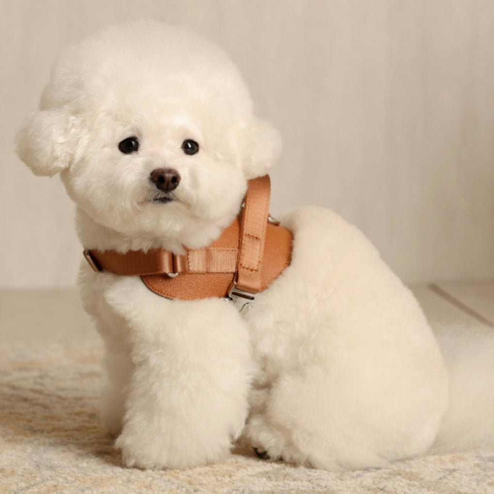 Saddle Harness_CAMEL