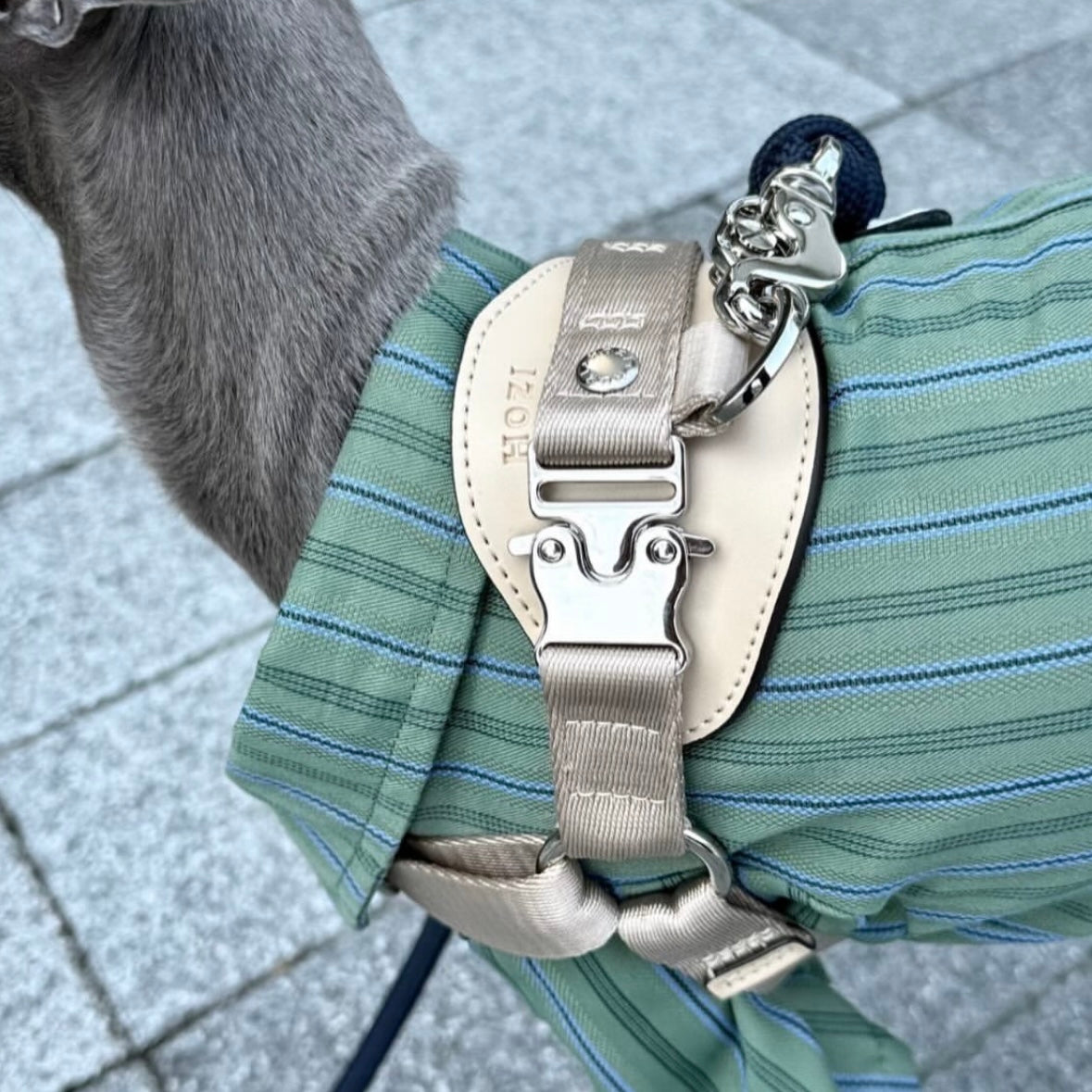 Horsebit Harness_BEIGE