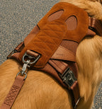 [NEW] Artisan Harness CAMEL