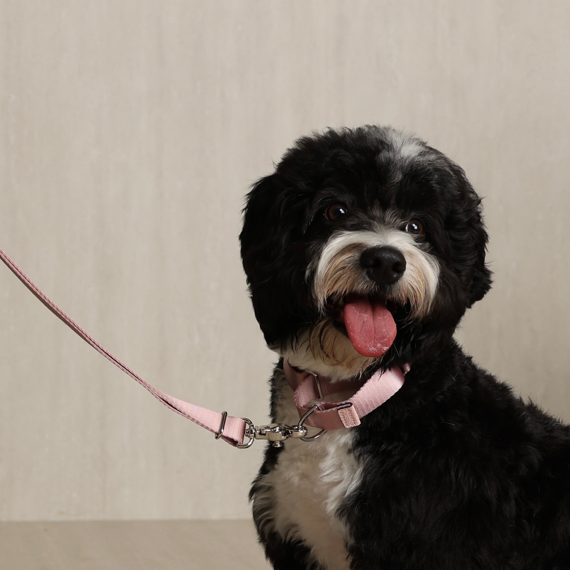 Martingale_PINK