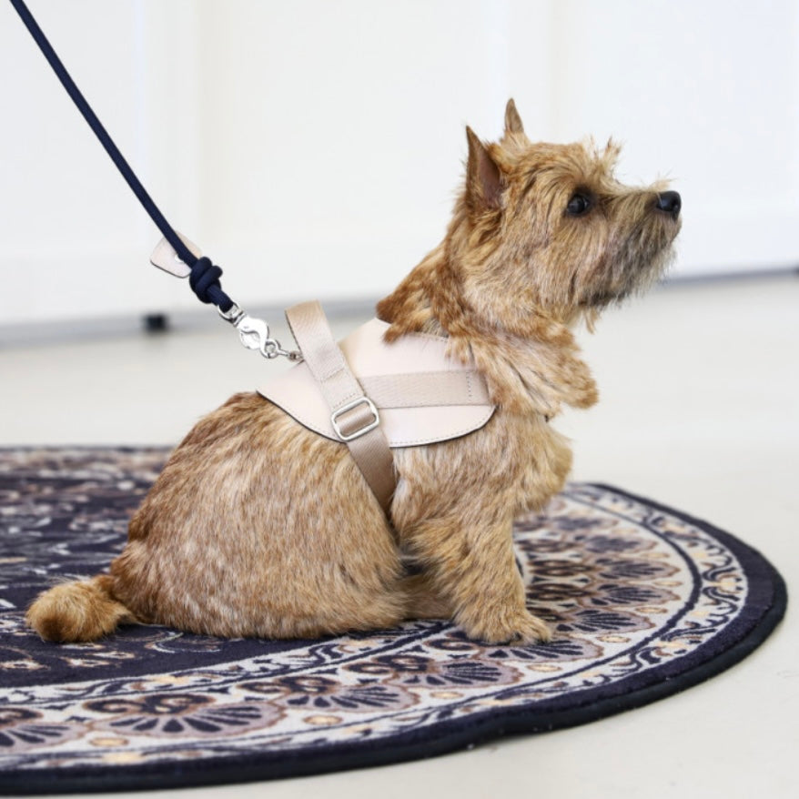 Saddle Harness_BEIGE