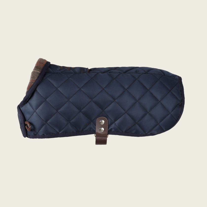 Quilted Jacket_NAVY