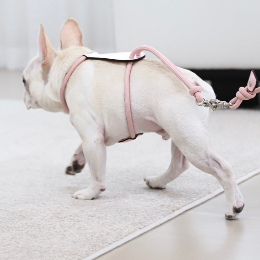 Essential Harness_PINK