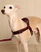 [NEW] Bridle Harness BLCAK