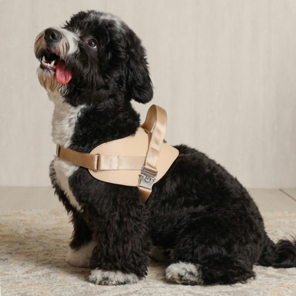 Saddle Harness_BEIGE