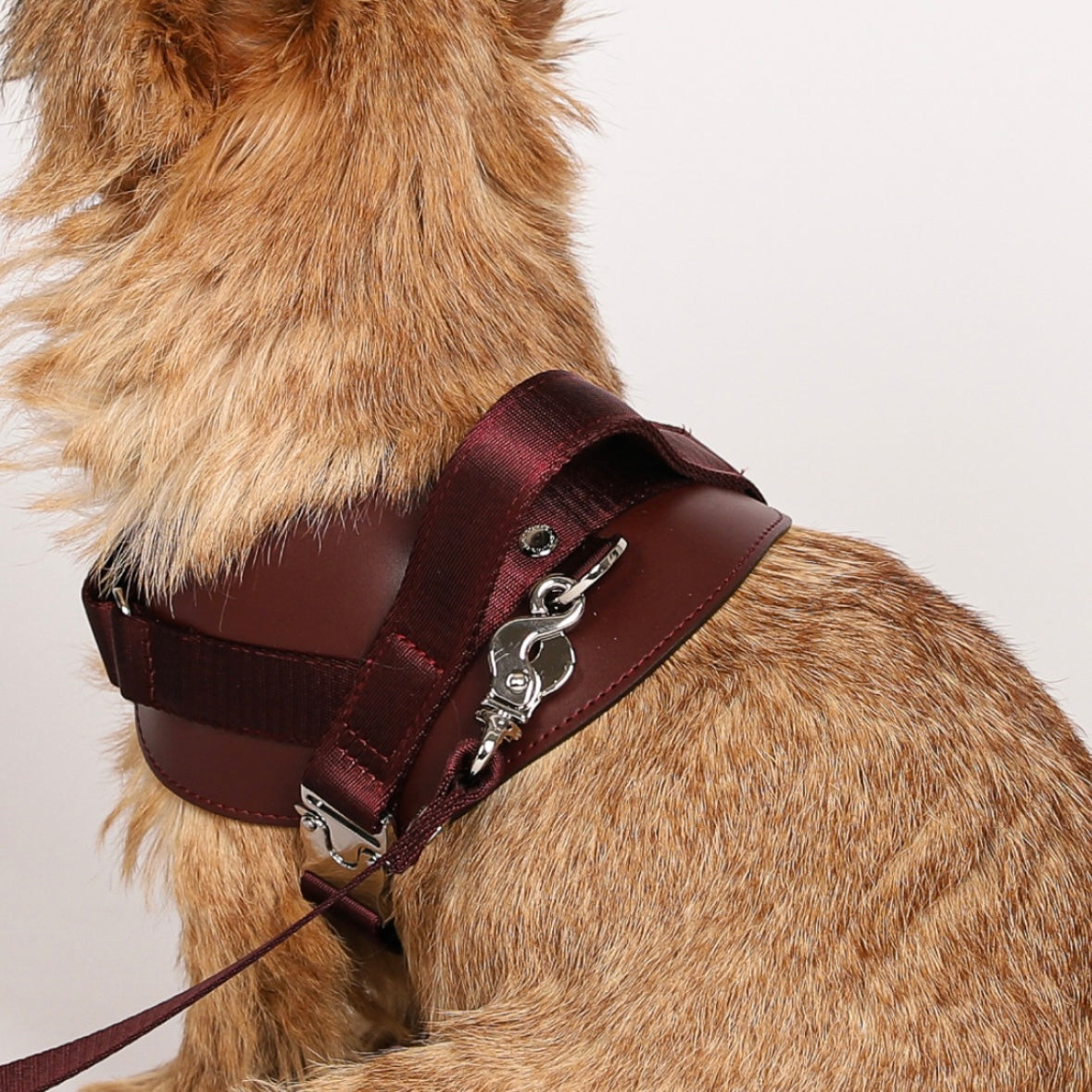 Saddle Harness_BURGUNDY