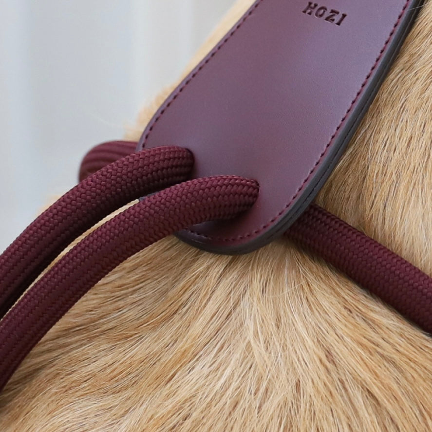 Essential Harness_BURGUNDY