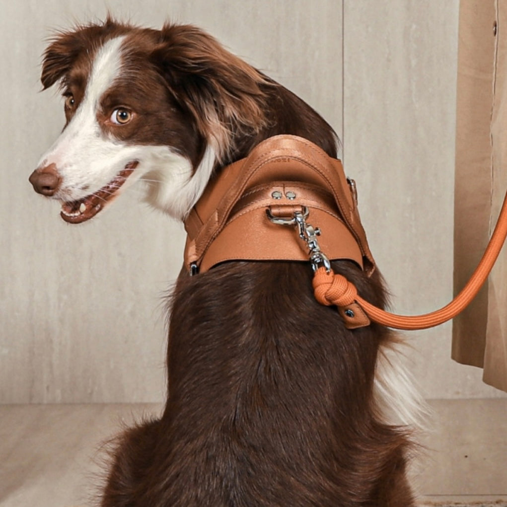 Saddle Harness_CAMEL