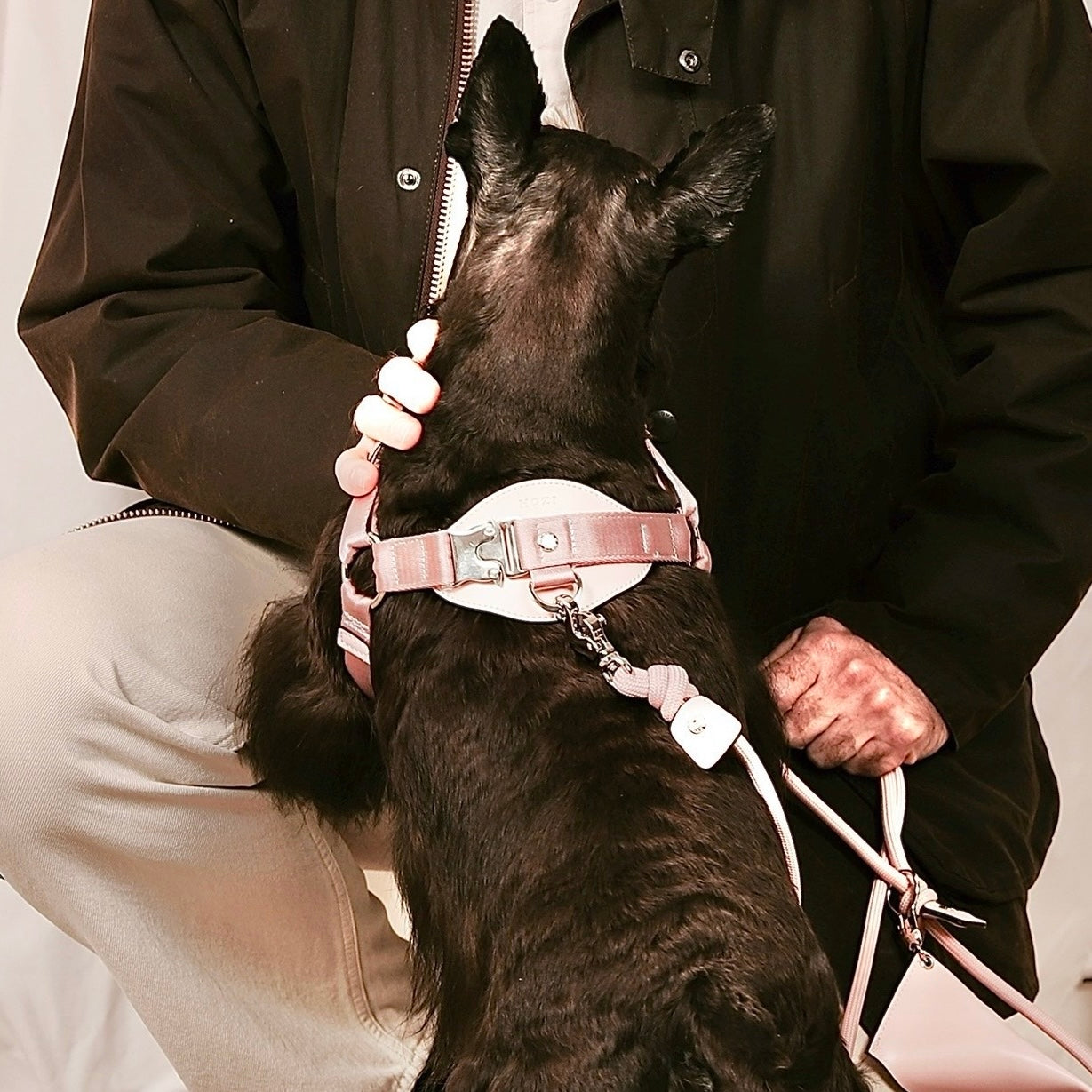 Horsebit Harness_PINK