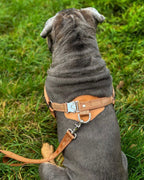 Horsebit Harness CAMEL