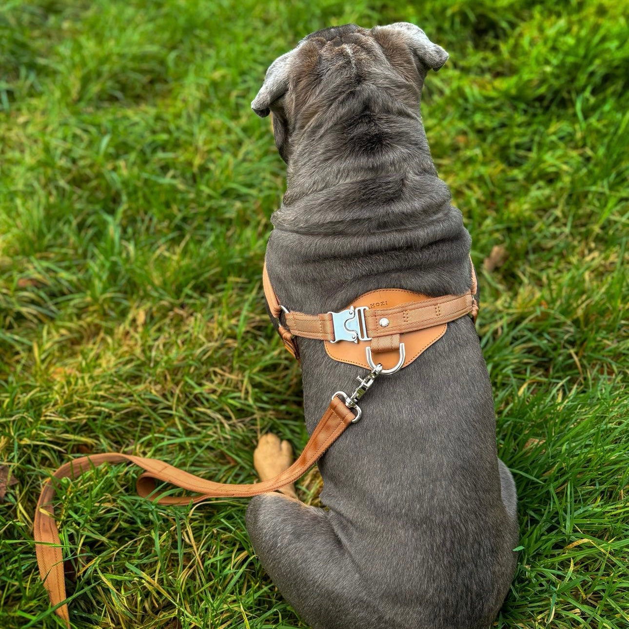 Horsebit Harness_CAMEL