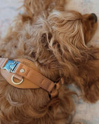 Horsebit Harness CAMEL
