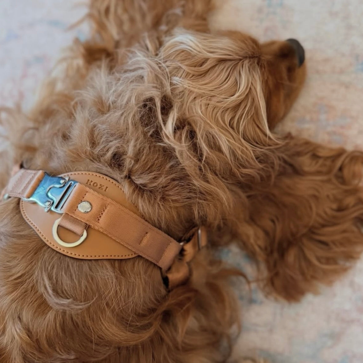 Horsebit Harness_CAMEL