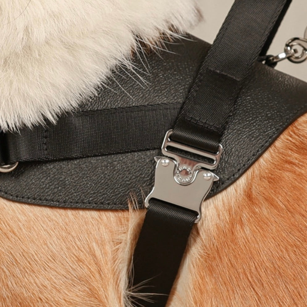 Saddle Harness_BLACK
