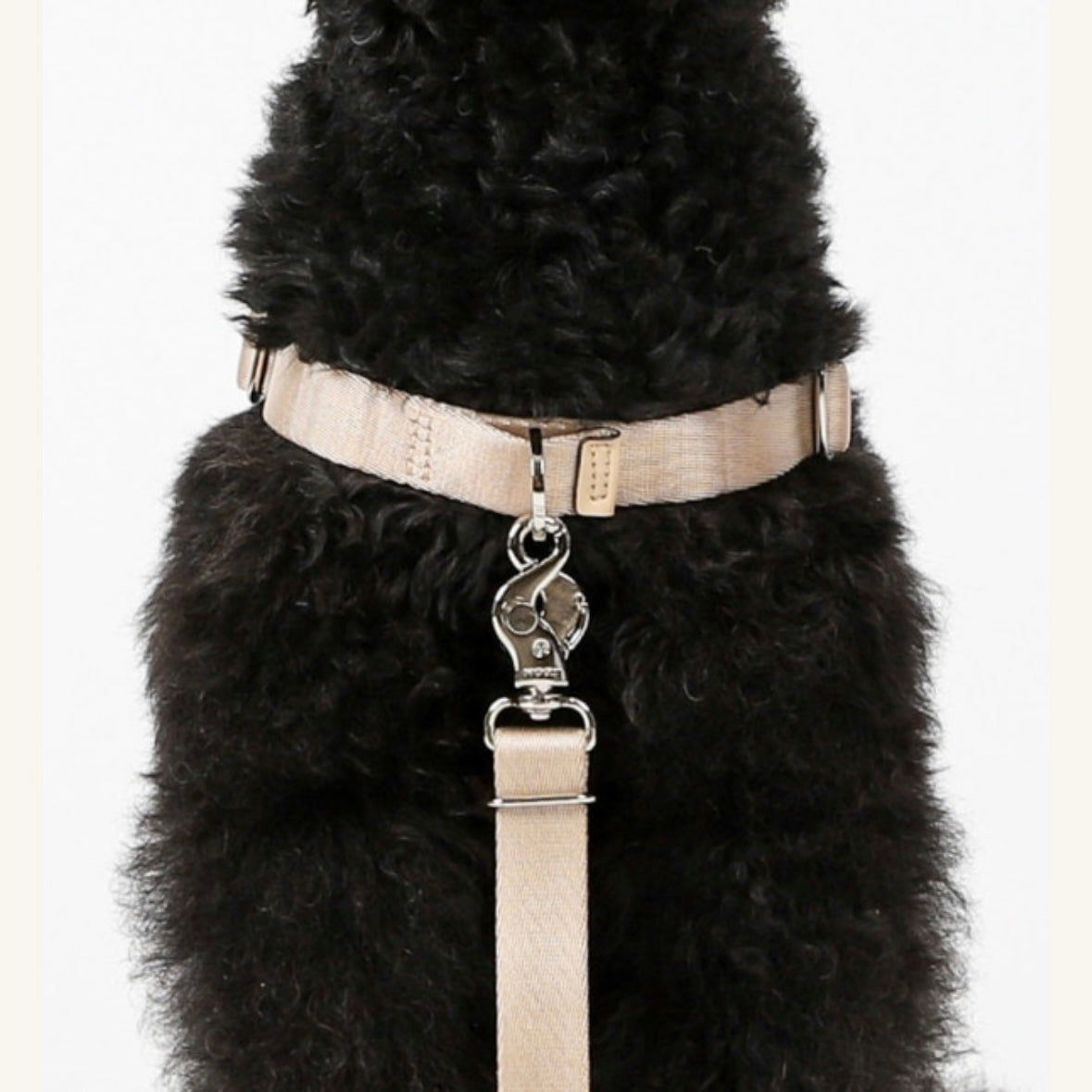 Horsebit Harness_BEIGE