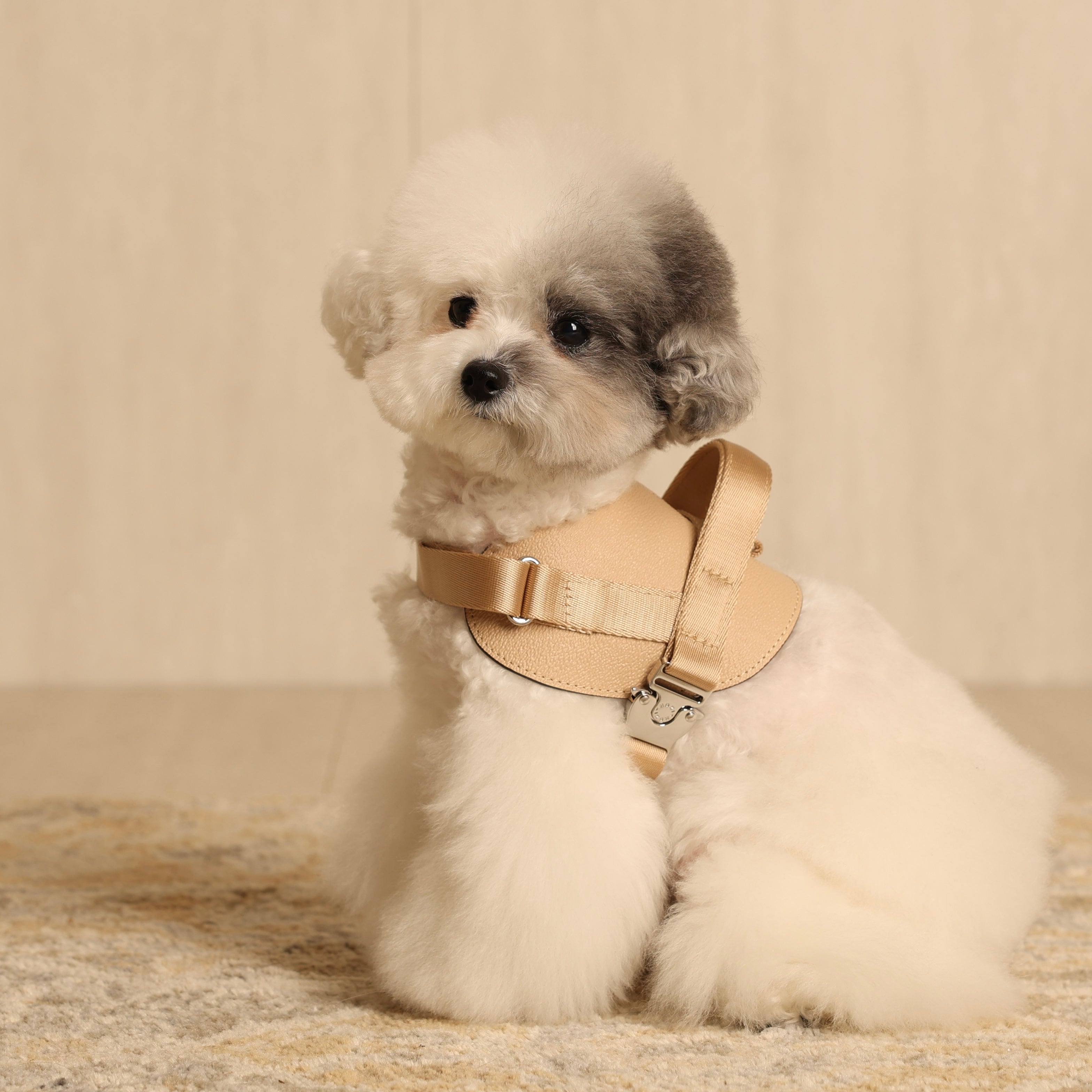 Saddle Harness_BEIGE