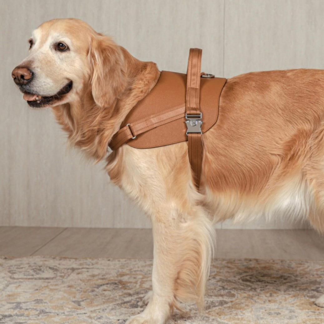 Saddle Harness_CAMEL