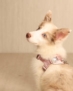 [NEW] Bridle Harness PINK