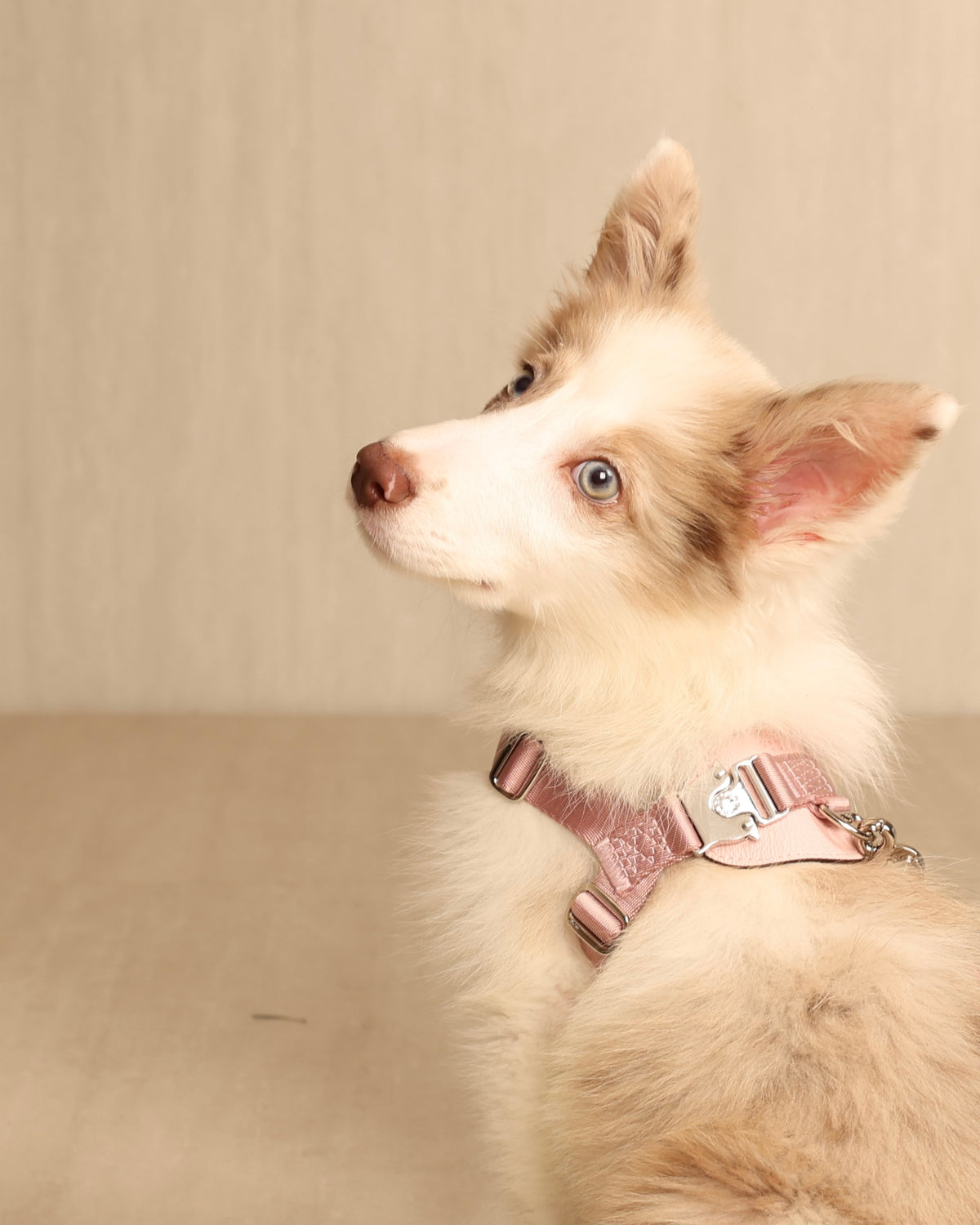 [NEW] Bridle Harness PINK