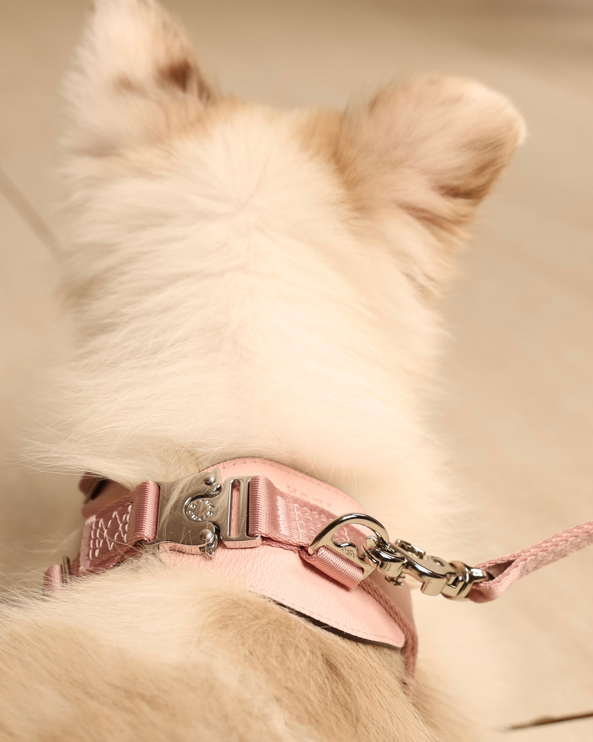 [NEW] Bridle Harness PINK