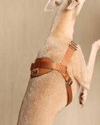 [NEW] Bridle Harness CAMEL