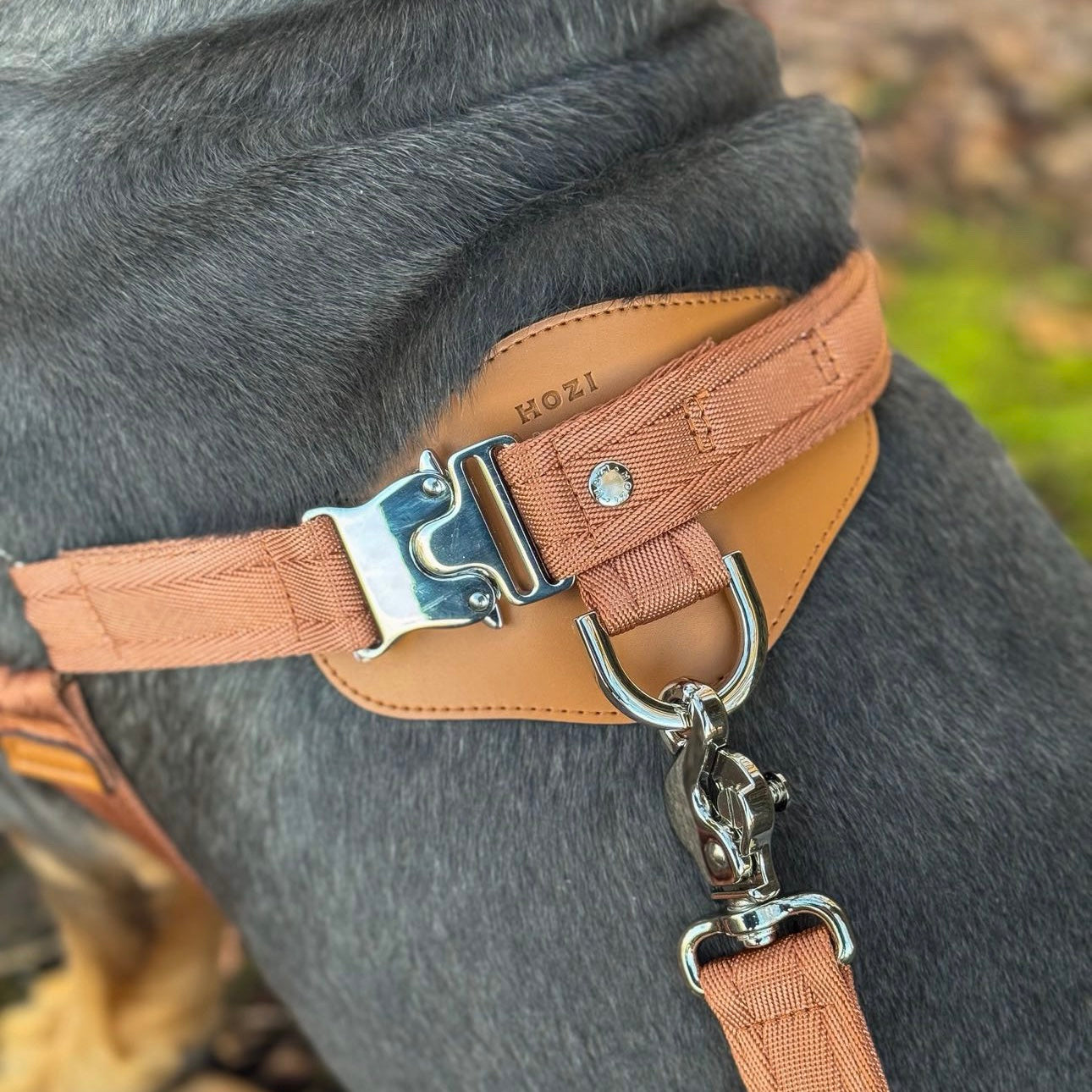 Horsebit Harness_CAMEL