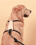 Essential Harness NAVY