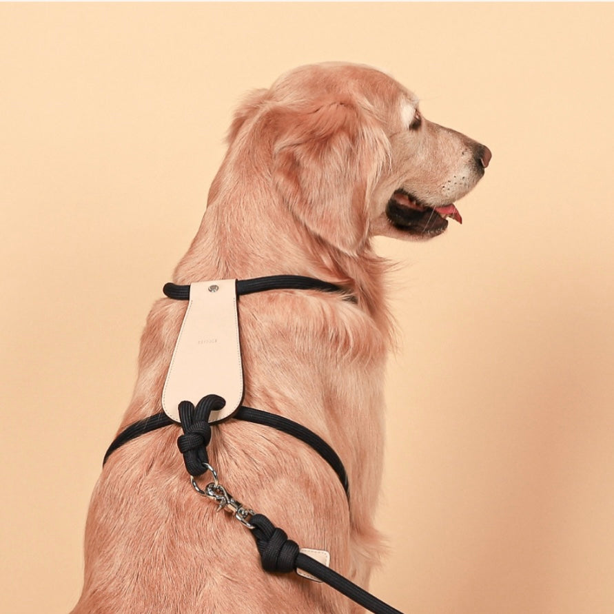 Essential Harness_NAVY