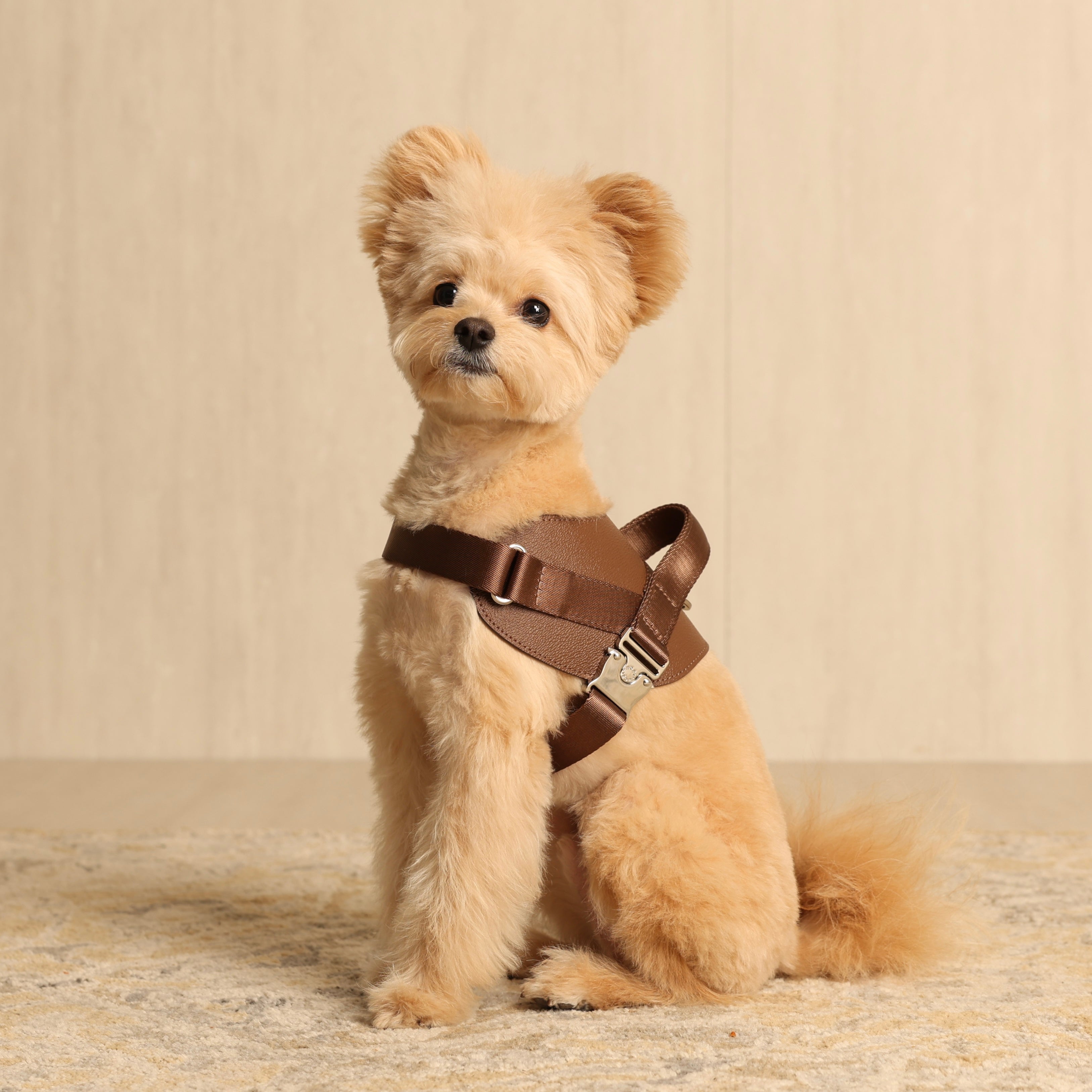Saddle Harness_MOCHA